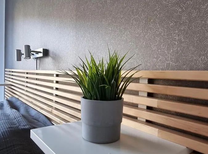 R63 With Terrace * Tartu